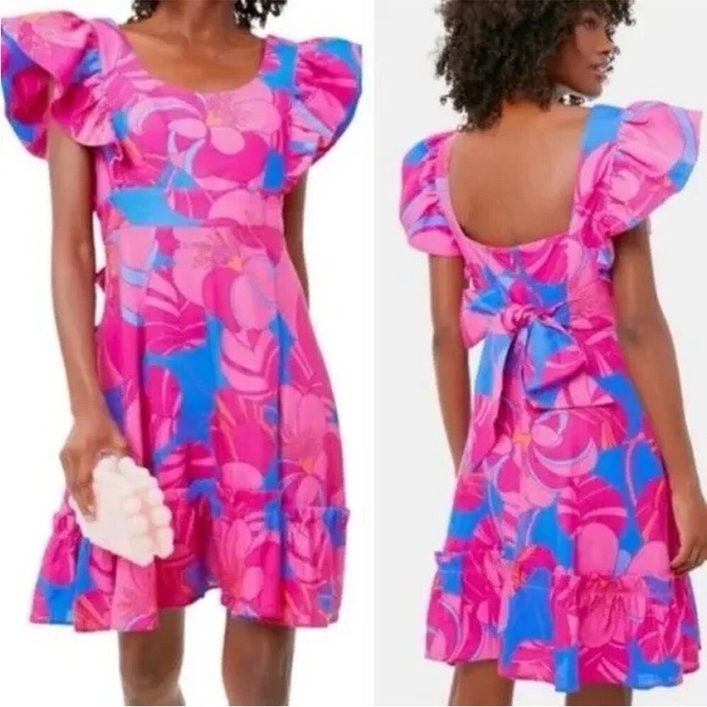 Tuckernuck Pink & Blue Floral Ruffle Mini Dress